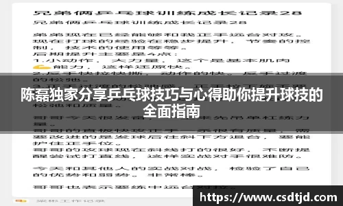 陈磊独家分享乒乓球技巧与心得助你提升球技的全面指南